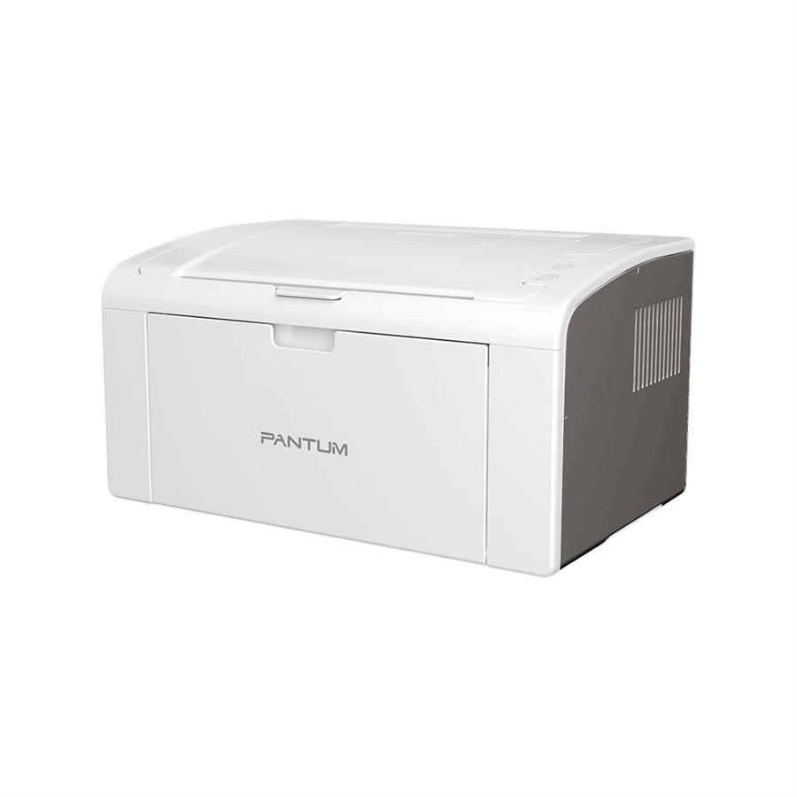 Impresora Monocromática Pantum P2509w Con Wifi Gris